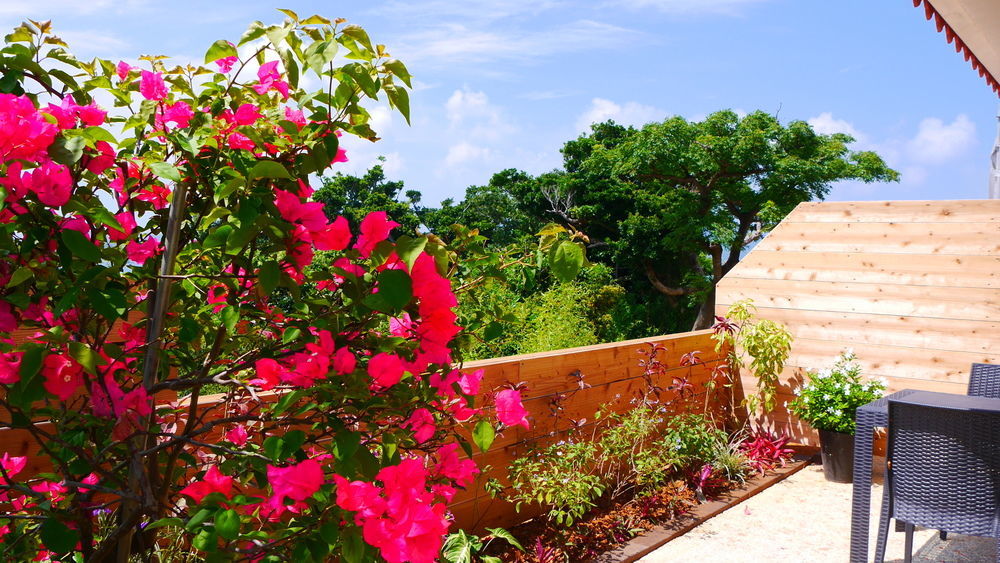 Ocean Hills Kouri Otel Nakijin Dış mekan fotoğraf